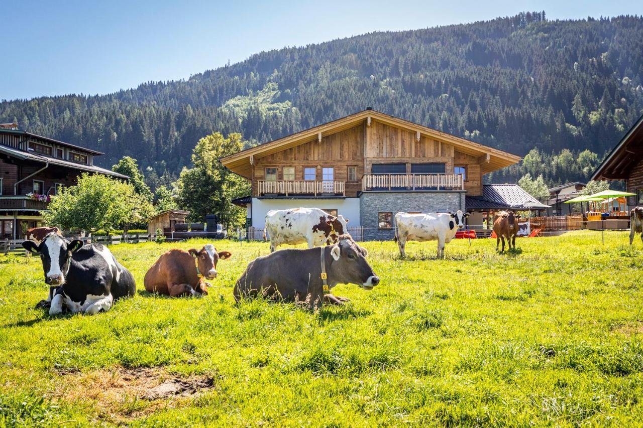 Villa Bauernhof Vorderklinglhub à Flachau Extérieur photo