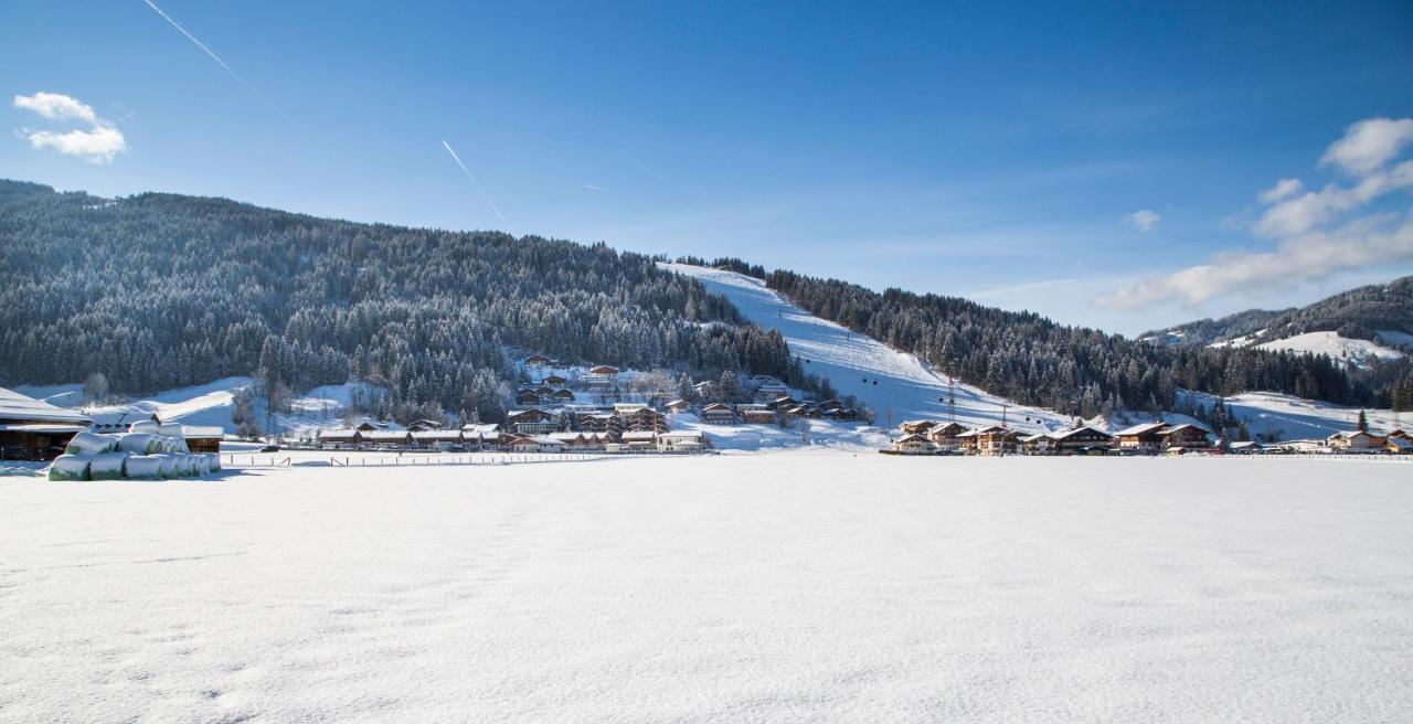 Villa Bauernhof Vorderklinglhub à Flachau Extérieur photo